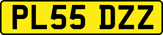 PL55DZZ