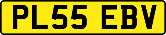 PL55EBV