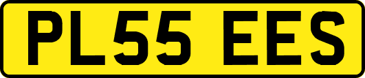 PL55EES
