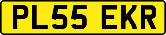PL55EKR