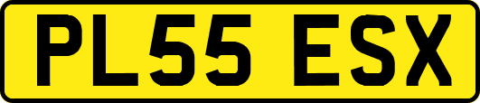 PL55ESX