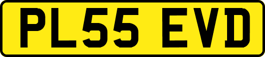 PL55EVD