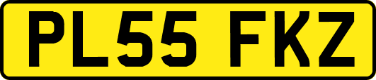 PL55FKZ