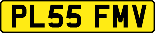 PL55FMV
