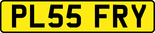 PL55FRY