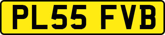 PL55FVB