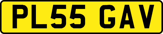 PL55GAV