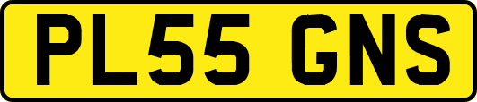 PL55GNS