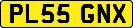 PL55GNX