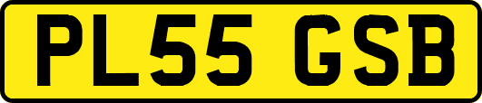 PL55GSB