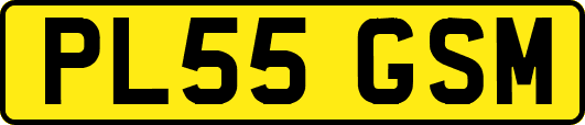 PL55GSM