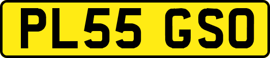 PL55GSO
