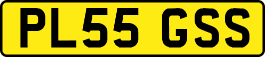 PL55GSS