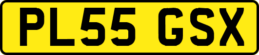 PL55GSX