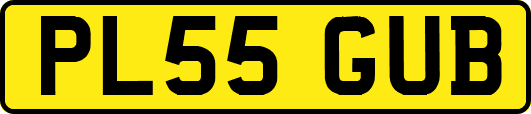 PL55GUB