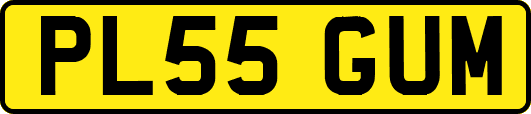 PL55GUM