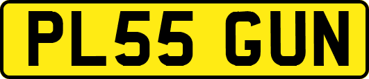 PL55GUN