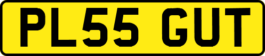 PL55GUT
