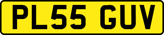 PL55GUV
