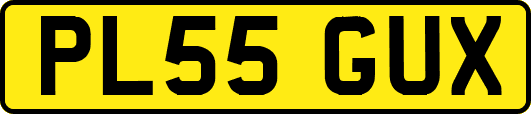 PL55GUX