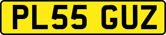 PL55GUZ