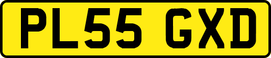 PL55GXD