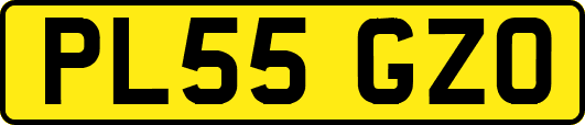 PL55GZO