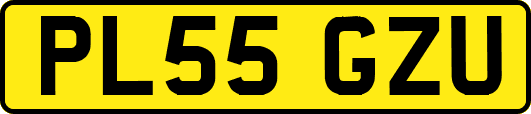 PL55GZU