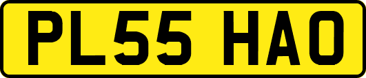 PL55HAO