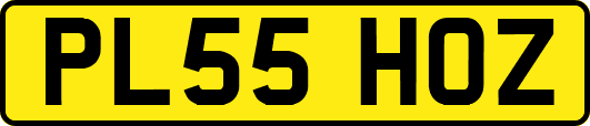 PL55HOZ