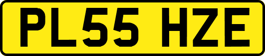 PL55HZE