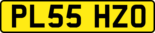 PL55HZO