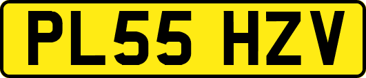 PL55HZV