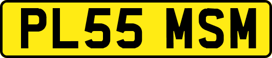 PL55MSM