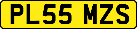 PL55MZS