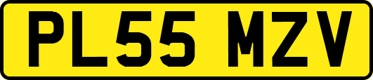 PL55MZV