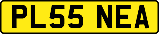 PL55NEA