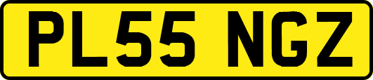 PL55NGZ