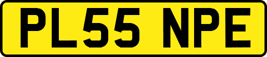 PL55NPE