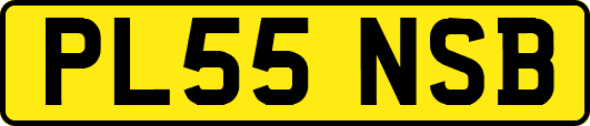 PL55NSB