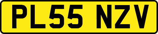 PL55NZV