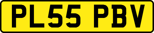 PL55PBV