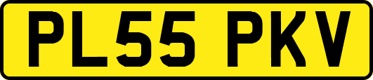 PL55PKV