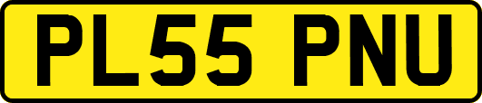 PL55PNU