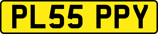 PL55PPY