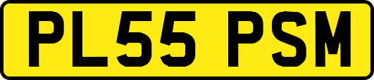 PL55PSM