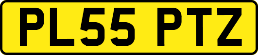 PL55PTZ