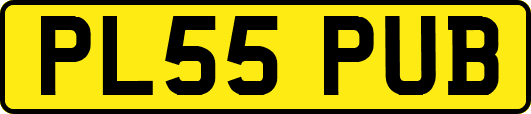 PL55PUB