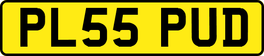 PL55PUD