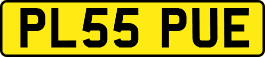 PL55PUE